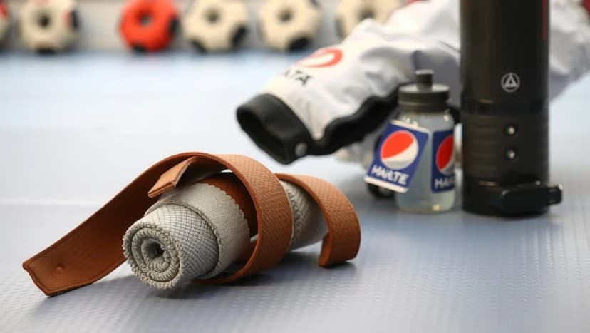 Vad betyder brunt bälte i karate